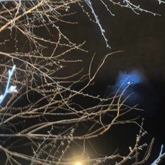 тут немає місця для тебе