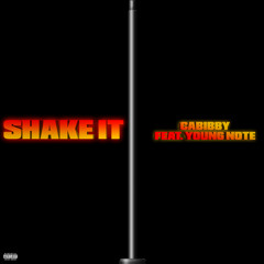 Shake it ft Cabibby .m4a