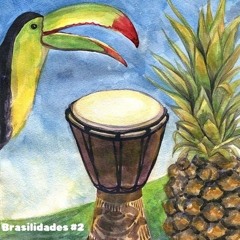 Brasilidades #2