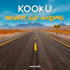 Never Go Wrong (Radio Edit)