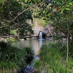 From the Land Of Psy