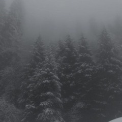 MRJay & kittyangel - winter