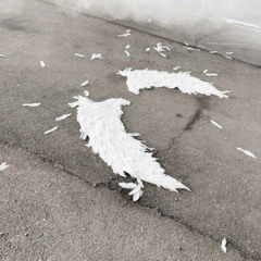 asd