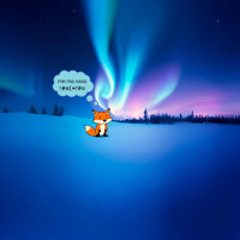 Like A Finn