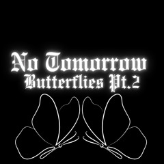 Butterflies Pt.2 - No Tomorrow
