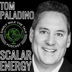 ⚡TOM PALADINO: Scalar Energy & Deconstructing Reality | 🎙️SWTT 224