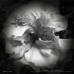 Premiere: Diagram - Arcane