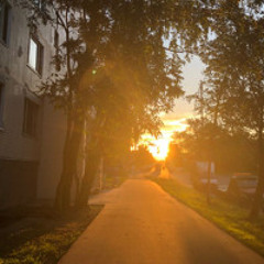 Дайте танк (!) - Логика (speed up)