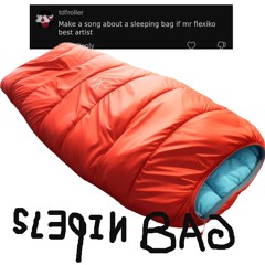 slepin bag (p. makkgin clay10)