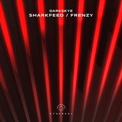 Darkskye - Frenzy (Original Mix)