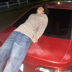 bojackhorseman audio inside out - duster