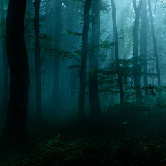 Nacht