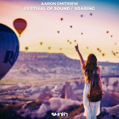 Aaron Dmitriew - Festival Of Sound [Synth Collective]