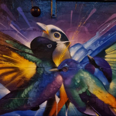 PsyTech to Trance (mistake in first mix) 7 nov 2025