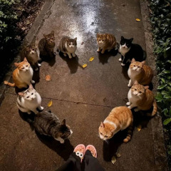 malcolm! peter pan might