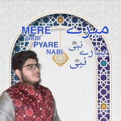 Mere Nabi Pyare Nabi