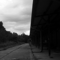 die_strasse_schreit_in_mir