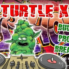 DJ TURTLE X - BULLET PROOFF BREAKS 2022