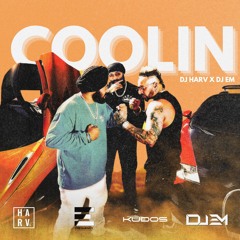 COOLIN DESI MIX - DJ EM & DJ HARV