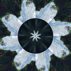 The Fix (Alternate version)