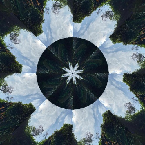 The Fix (Alternate version)