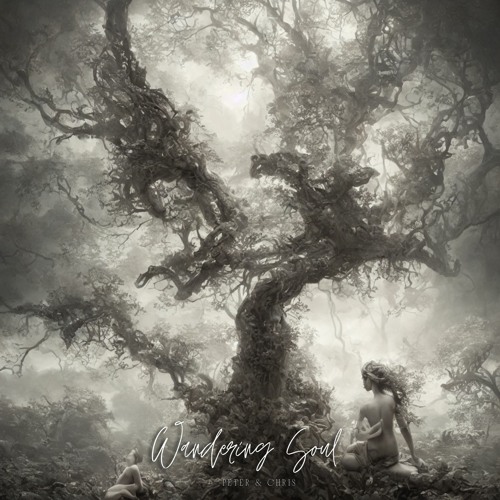Wandering Soul