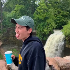 wildest dreams (cover)