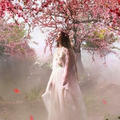 Đàn Tranh Nhạc Hoa Bất Hủ Không Lời Hay Nhất - Nhạc Buồn Giúp Tĩnh Tâm Nhẹ Nhàng Thư Thái