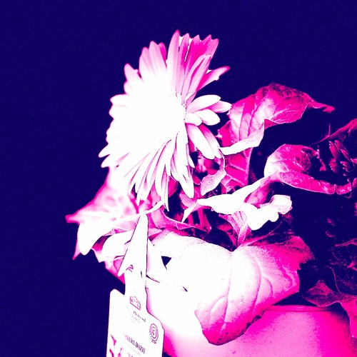 Stream We Cry Together by Nickytine Listen online for free on SoundCloud