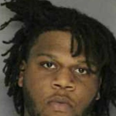 FREE TORCHH