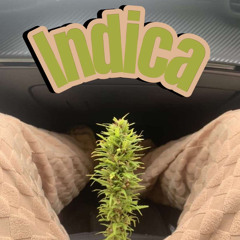 MAT MAT- INDICA (prod.tsukii)