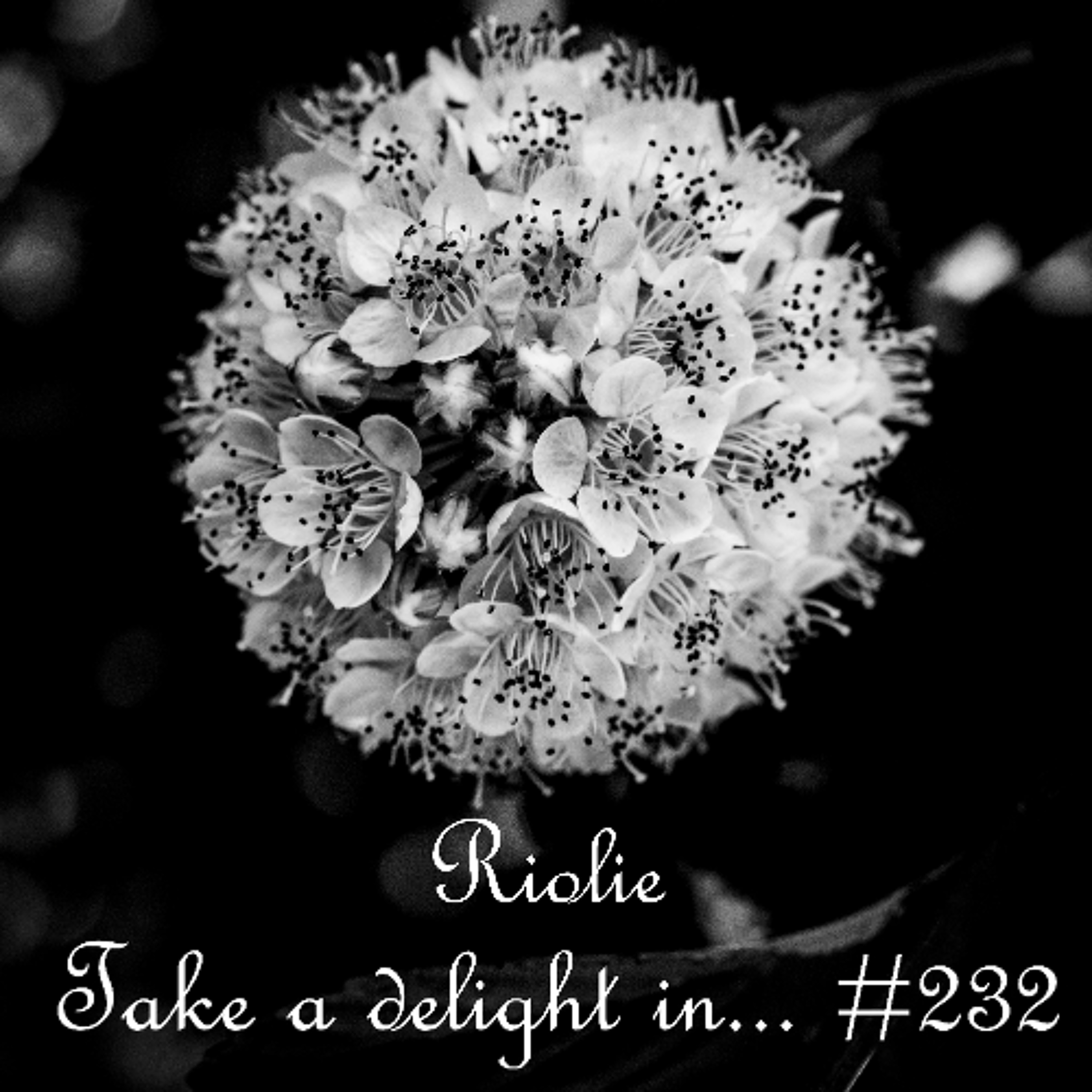Take a delight in ... № 232 podcast episode artwork