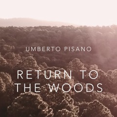 Return To The Woods