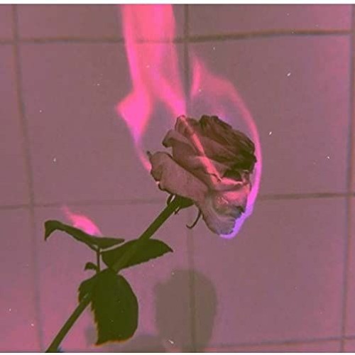 what did i do? (prod. 5head and metlast)