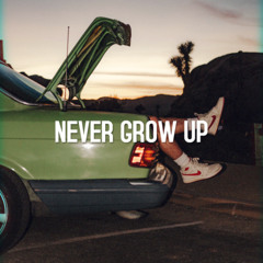 Melodic Type Beat "Never Grow Up" Pop Trap Beat (Prod. Ihaksi)