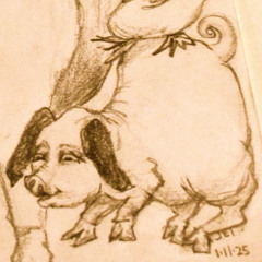 DT9.4 oink