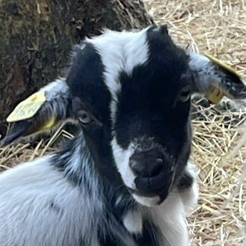 Doo Wop Teaser 'Love Only Comes Once Or Twice'