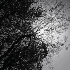 w4rma - no replies (prod. fc)