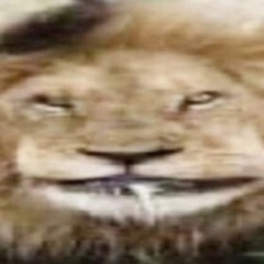 gog