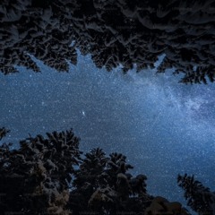 Soul Ties (feat. IXÖ)