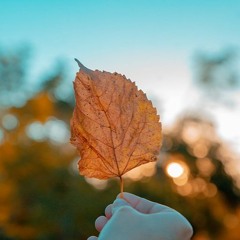 Lá Diêu Bông, Sao Em Nỡ Vội Lấy Chồng | Sáo Trúc