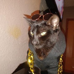 Ain’t what you want