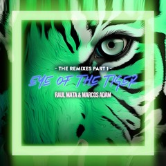 Raul Mata & Marcos Adam - Eye Of The Tiger (Dani Brasil Radio Mix)