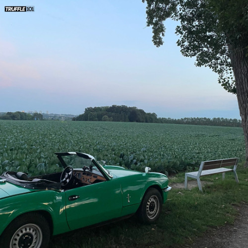 Truffle Mix 006 - Slowriders 🚗