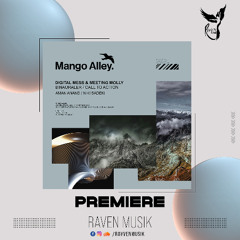 PREMIERE: Digital Mess & Meeting Molly - Binauraler (Aman Anand Remix) [Mango Alley]