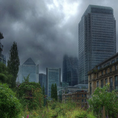 Beauty in the ruins III