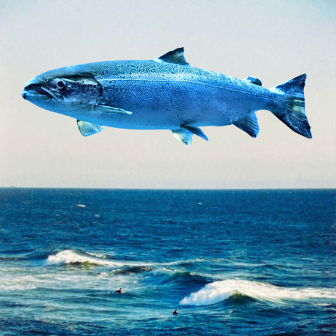 Stream Chemical Brothers - The Salmon Dance (ThinkFishTank Remix
