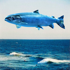 The Chemical Brothers - The Salmon Dance (ThinkFishTank Remix) [FREE DOWNLOAD]