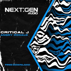 CRITICAL J - ANGRY DONALD (Free Download) [026]