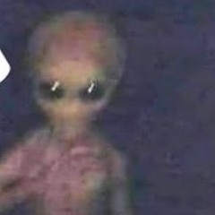 Definitely not human -  Brandon Aull